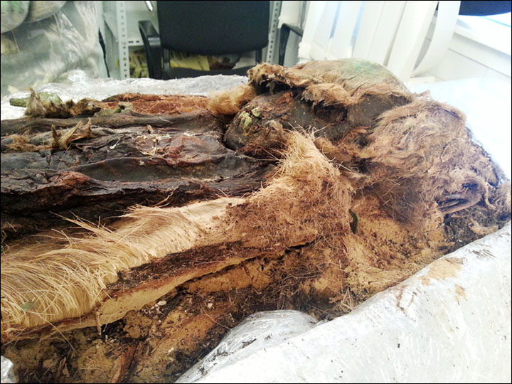 New Yamal mummy