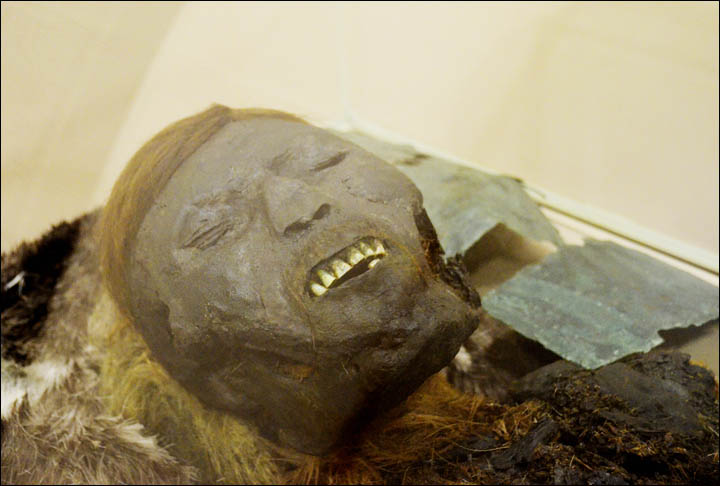 Face of mummified adult man
