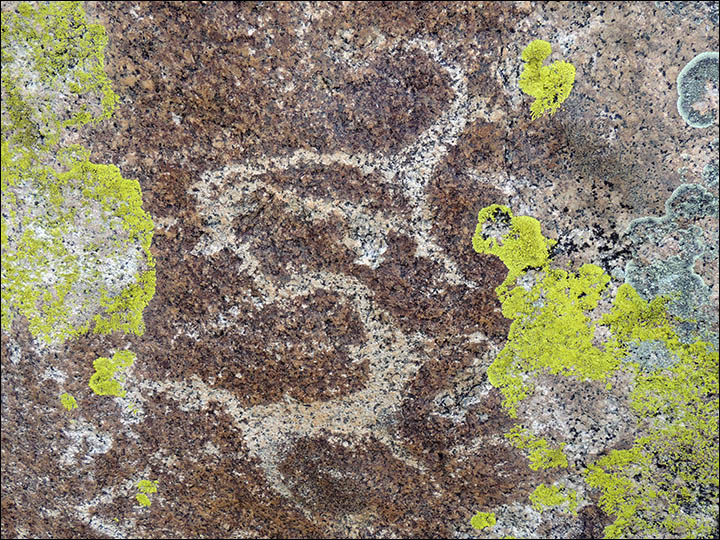 Thousands of rock paintings make remote area the world’s best place to see 5,000 year old alfresco art  