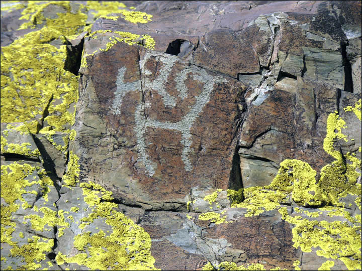 Thousands of rock paintings make remote area the world’s best place to see 5,000 year old alfresco art  