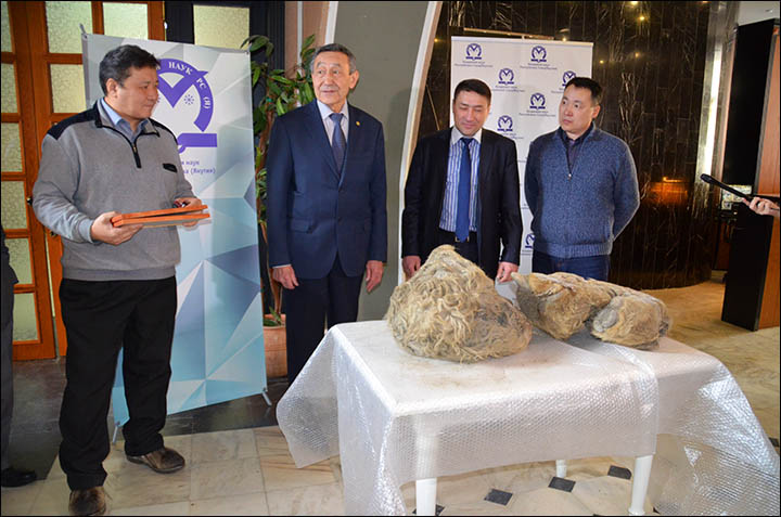 First pictures of remains at least 10,000 years old  found in Siberia's Sakha Republic