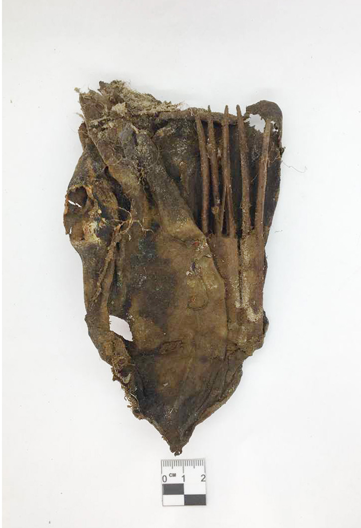 Leather bag burial 27