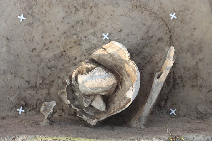 Male remains