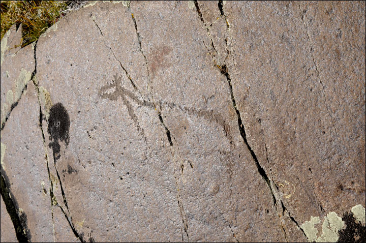 Ukok petroglyphs