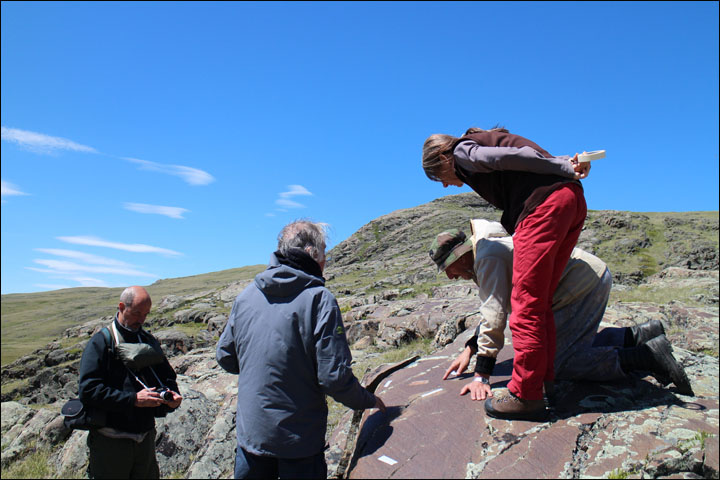 Ukok petroglyphs