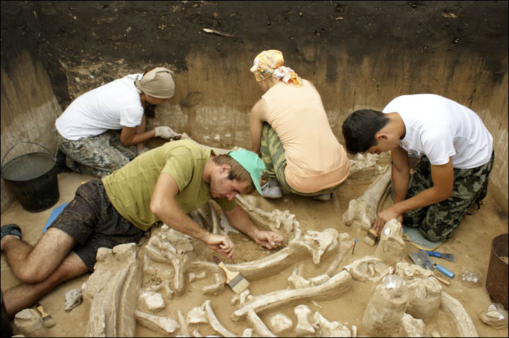 excavations