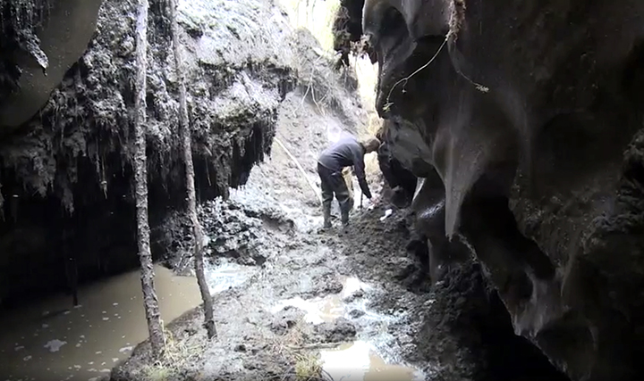 Scientists in fierce stand against bone hunters at mammoth graveyard 