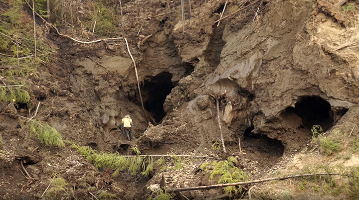 Scientists in fierce stand against bone hunters at mammoth graveyard 