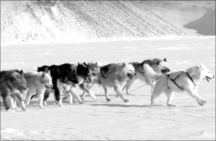 A study of the remains of dogs in an ancient cemetery near Lake Baikal has shown how the animals were 'treated just like people when they died'