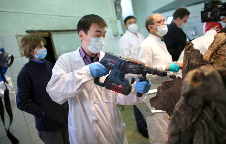 Scientists making first mammoth autopsy
