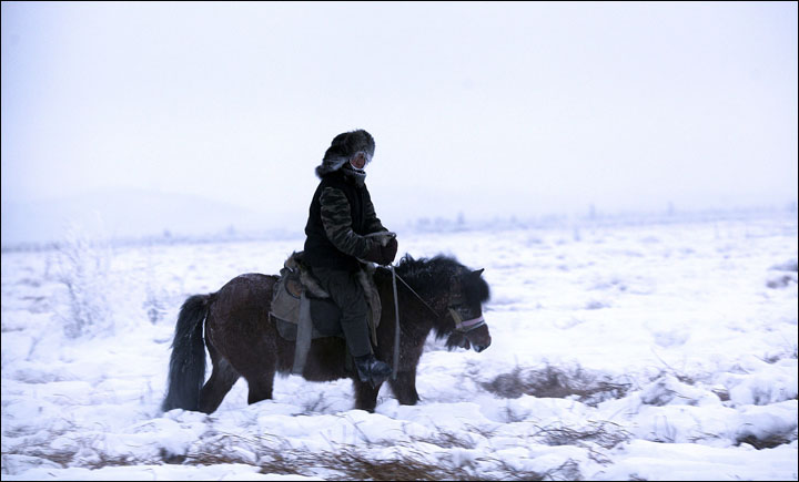 Riding horse in winter