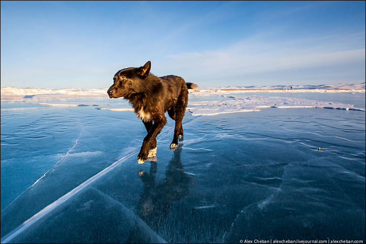 Baikal Ice Fairytale Siberia
