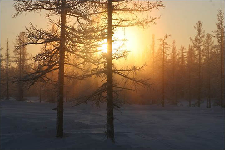 Northern Land expedition Siberia
