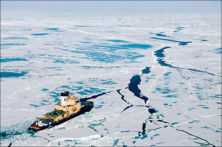 Dr Mikhail Zhukov, expert in Arctic Studies and a member of the Environment and Ecology Committee of Russian Chamber of Trade