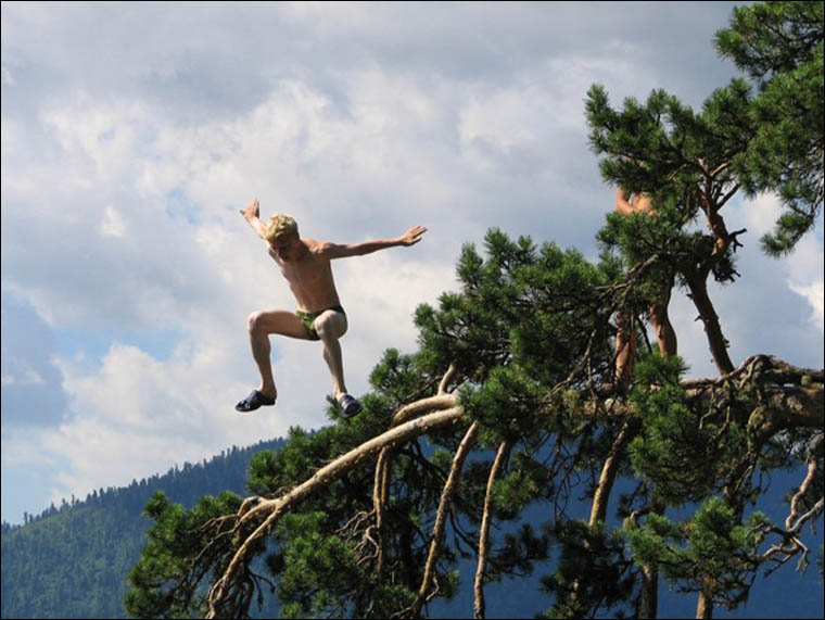 Jumping in Teletskoe lake from the magic pine tree